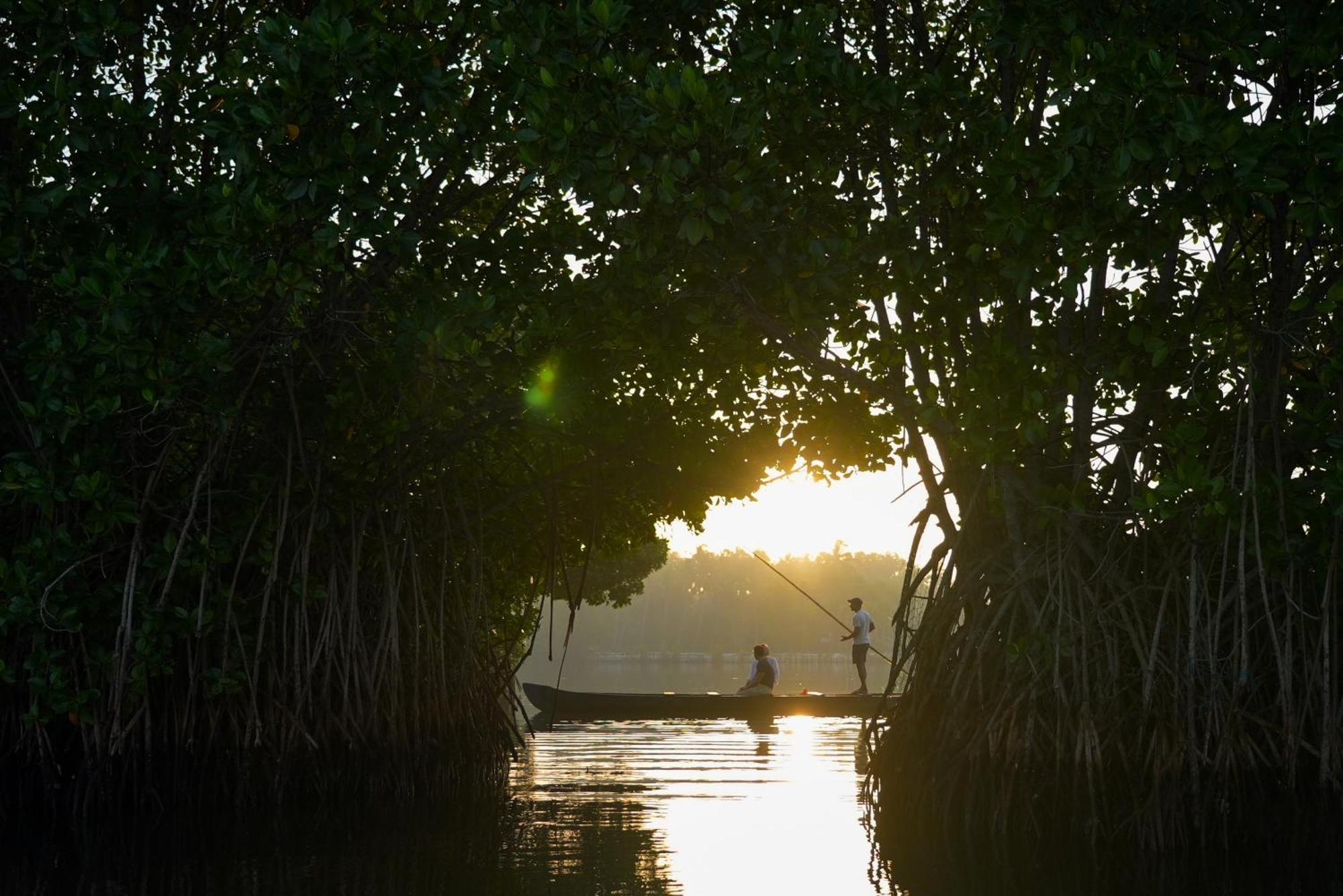 Kalloos Island Backwater Resort Kollam Eksteriør billede